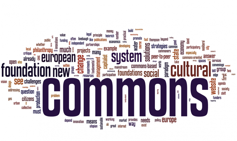 The Commons as a Path for Philanthropy to Catalyse System Change
