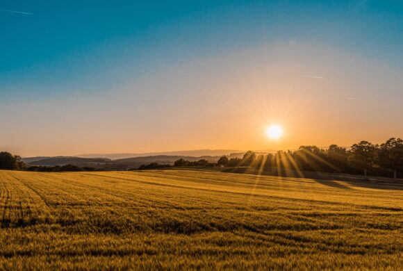 Webinar para financiadores EDGE - O nexo entre clima e alimentos agrícolas