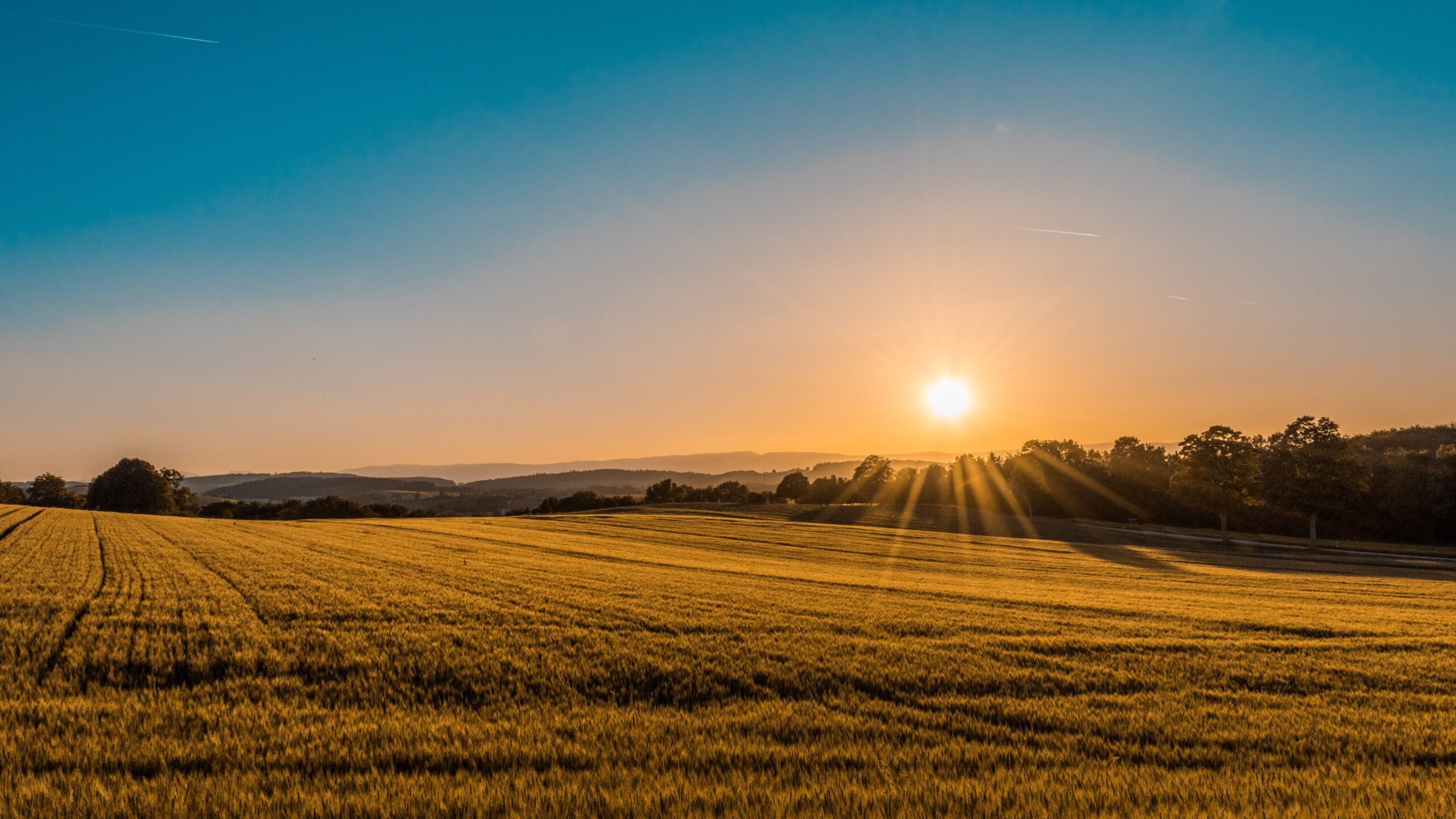 EDGE Funders Webinar — The Climate-Agrifood Nexus