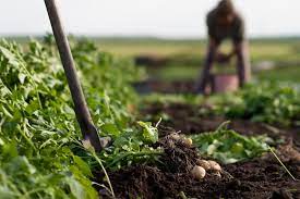 Espaço de Acordocologia para Membros EDGE - Sessão 0 "Construindo a resiliência do movimento por meio do financiamento da agroecologia na América Latina"