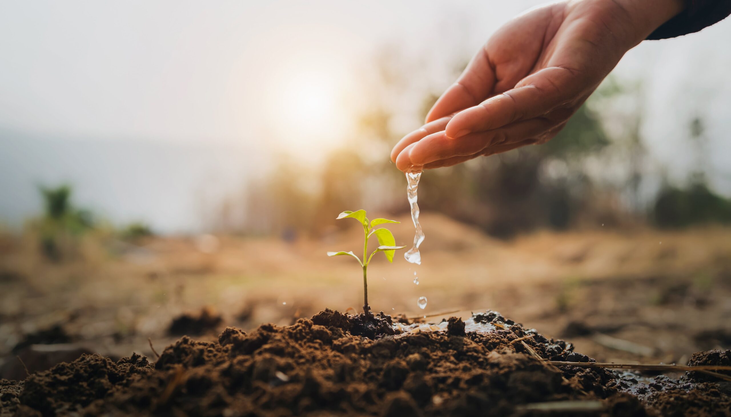 Supporting Women’s Funds with Flexible Multi-Year Non-competitive Funding during Uncertain Times