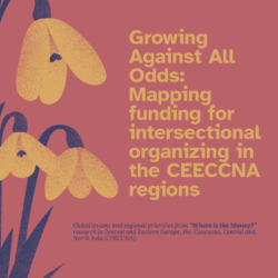 EDGEy Wednesday: ‘Mapping Funding in the CEECCNA Region Under Anti-Rights Laws: Insights from Dalan Fund’s Groundbreaking Report’
